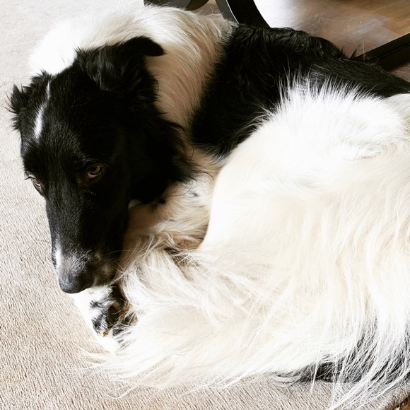 Like to bookmark hers_his_ours! - Picture 3 of 3